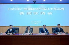 设立国际合